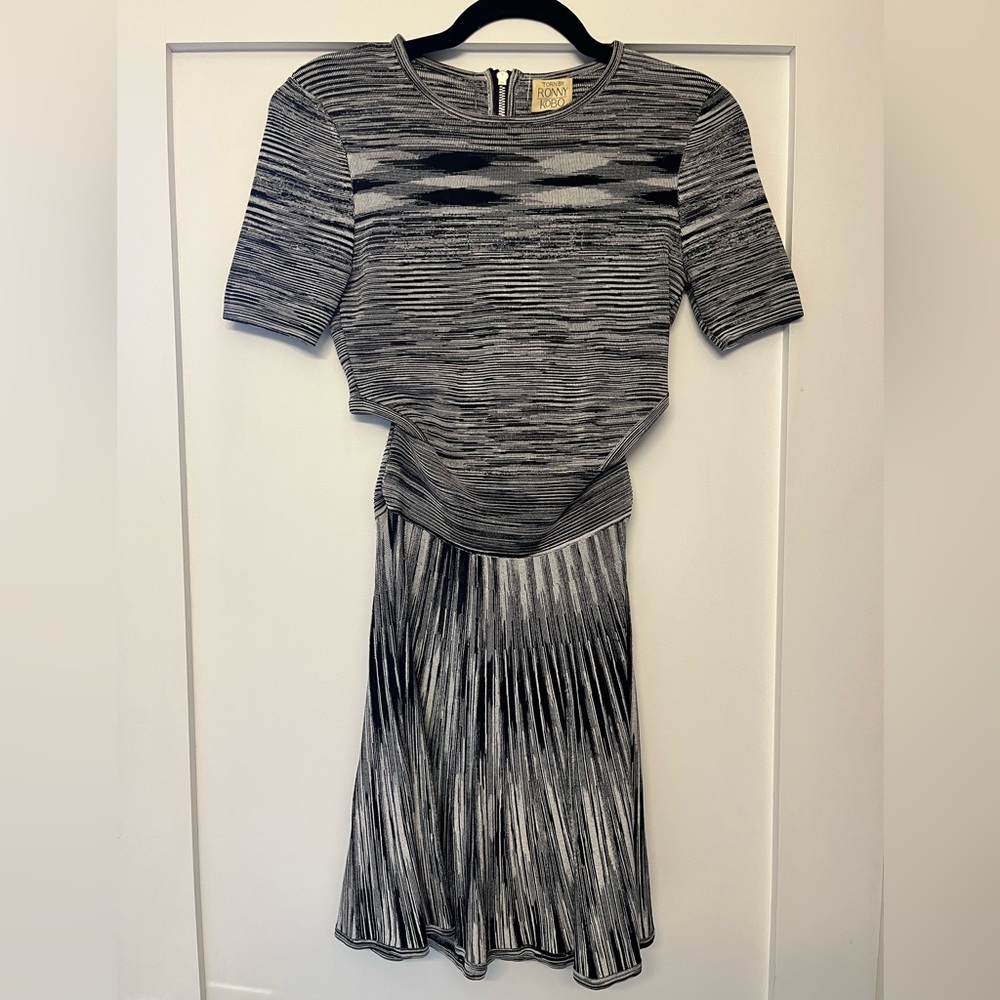 Torn by Ronny and kobo dress